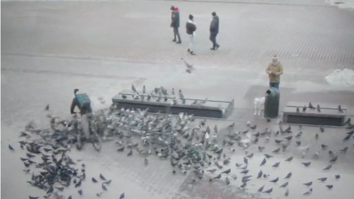 Screenshot 2021 01 17 Rowerzysta rozjechał dwa gołębie na Rynku Głównym VIDEO