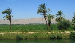 Egipt 2009