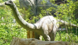 ZATOR