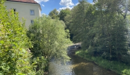 Trzebieszowice - Zamek na Skale. 2020-08-24