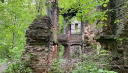 Ruiny pałacu Moesów w Wierbce. 2021-05-18
